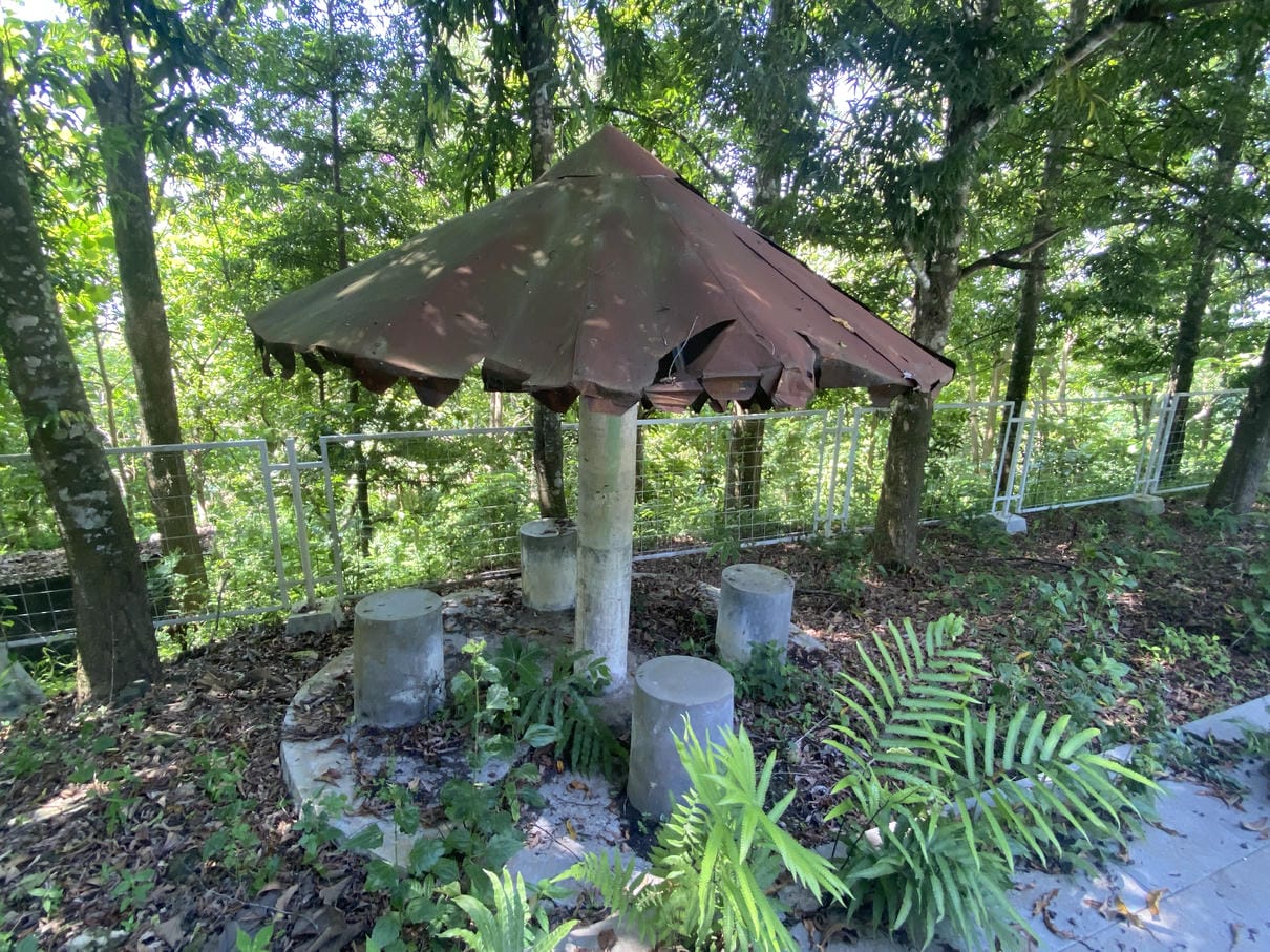 Sewa Aset Lahan Objek Wisata Sayuran - Foto 4