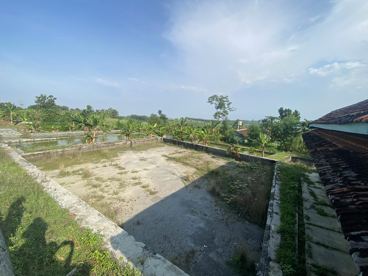 Sewa Aset Sarana Balai Benih Ikan Kajengan - Foto 4