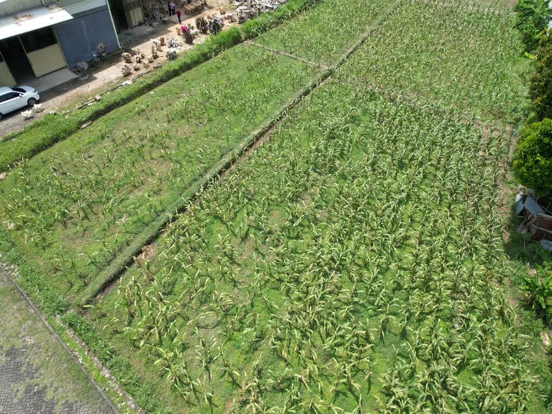 Sewa Aset Sentra IKM - Foto 1