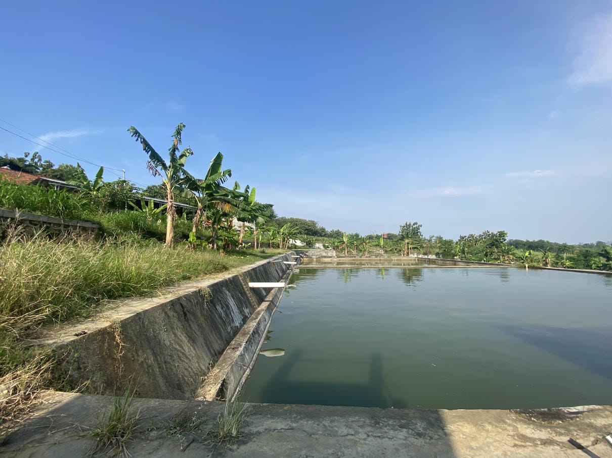 Sewa Aset Sarana Balai Benih Ikan Kajengan - Foto 1