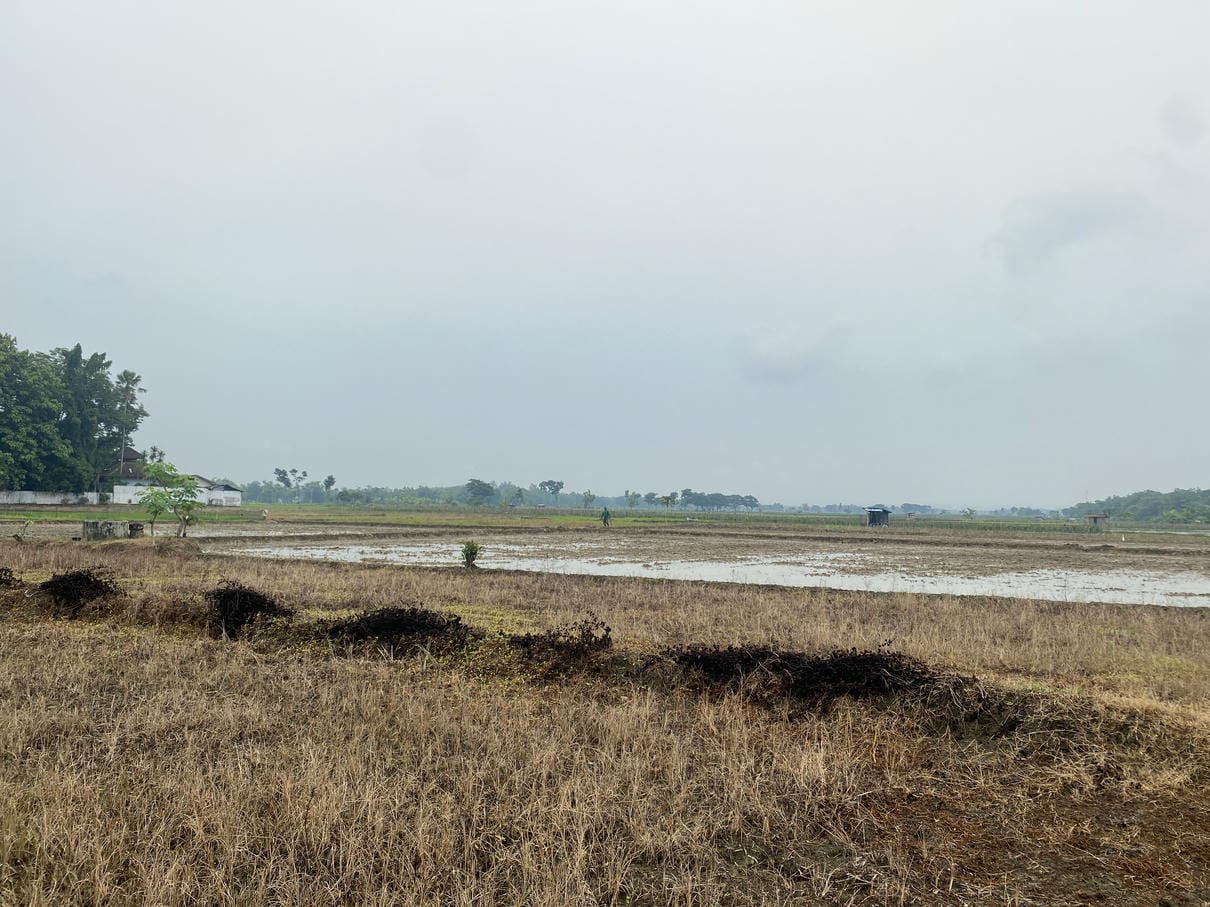 Sewa Aset Lahan Pertanian Adirejo